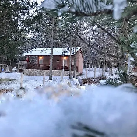 펜션 Vikendica Ubla 트레빈예